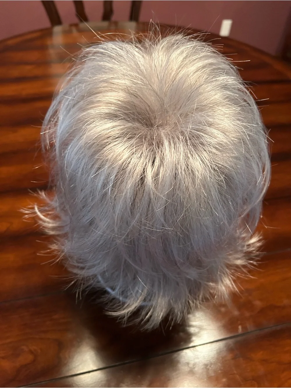 Raquel Welch Trend Setter Wig Natural R51/61 Iced Granita Large Cap